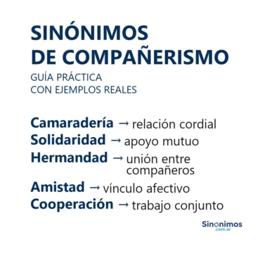 sinónimos de compañerismo camaradería solidaridad hermandad amistad cooperación