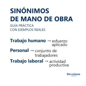 Sinónimos de mano de obra como fuerza laboral, personal y trabajadores