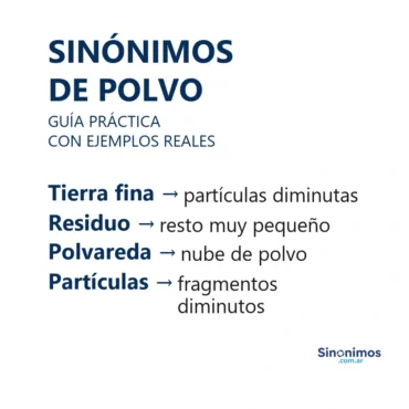 Infografía con sinónimos de polvo: tierra fina, residuo, polvareda y partículas.